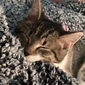 Meet your Posher, Brooklynn